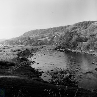 River Swale, Whitecliffe Woods